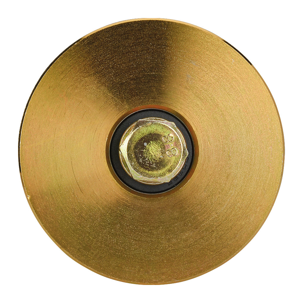100mm Diameter Double Bearing Slider Wheel To Suit V Section Ground Track