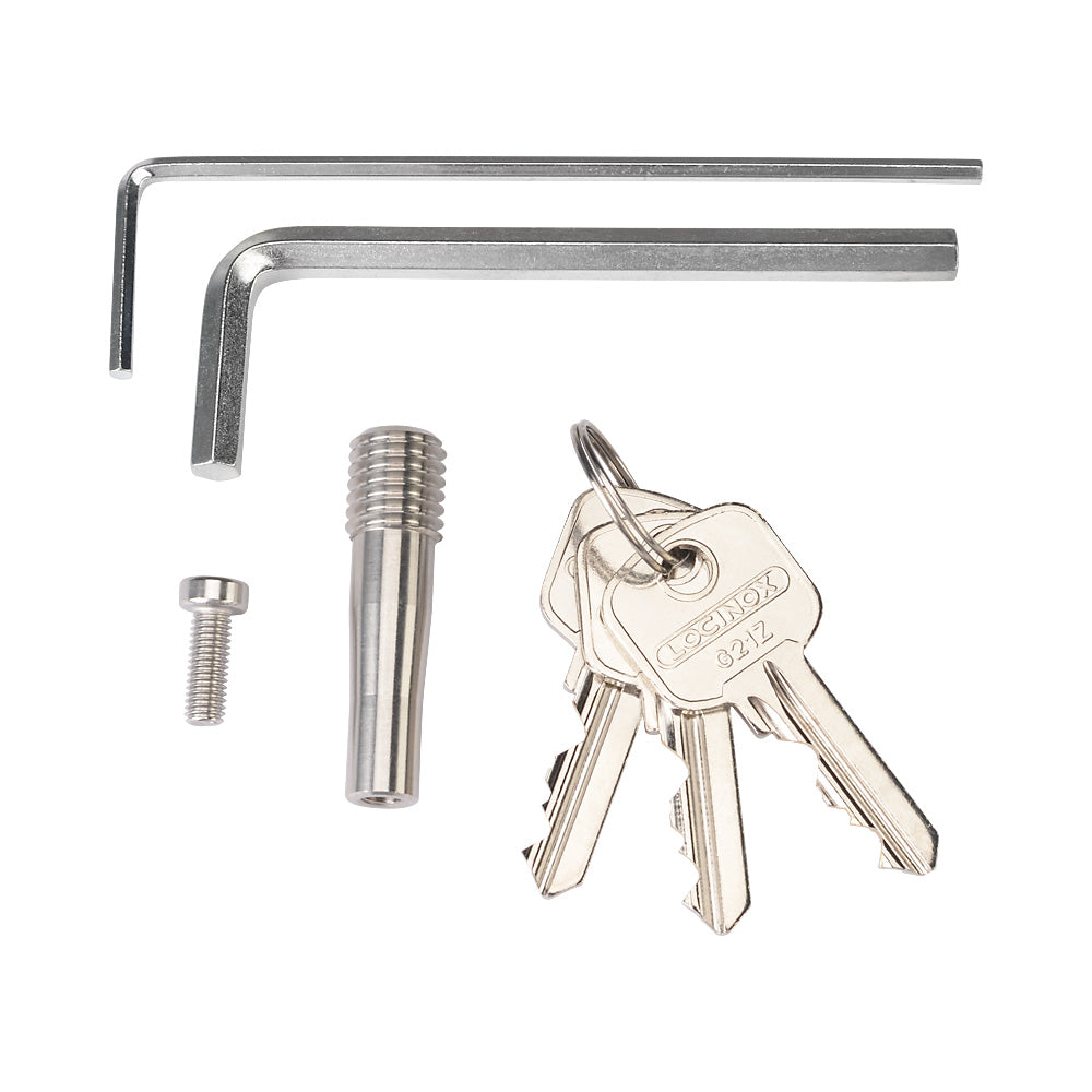 Locinox Venus Motorised Gate Closer For Pedestrian Swing Gates Articulated Arm Silver