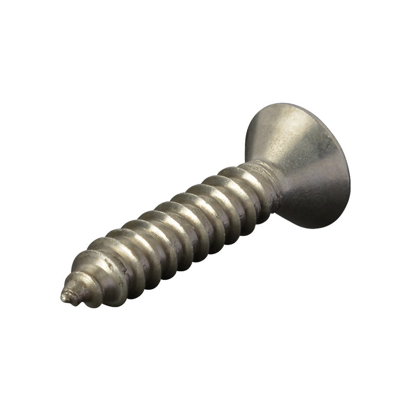 316 Stainless Steel Fixing Screw 4.8mm x 25mm