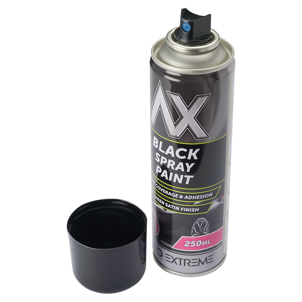Spray Paint Satin Black 250ml