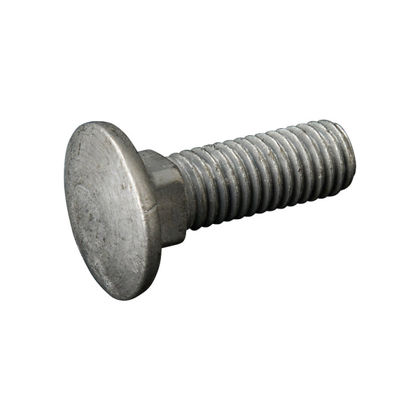M10 x 30mm Galvanised Cup Square Bolts (100 pcs)