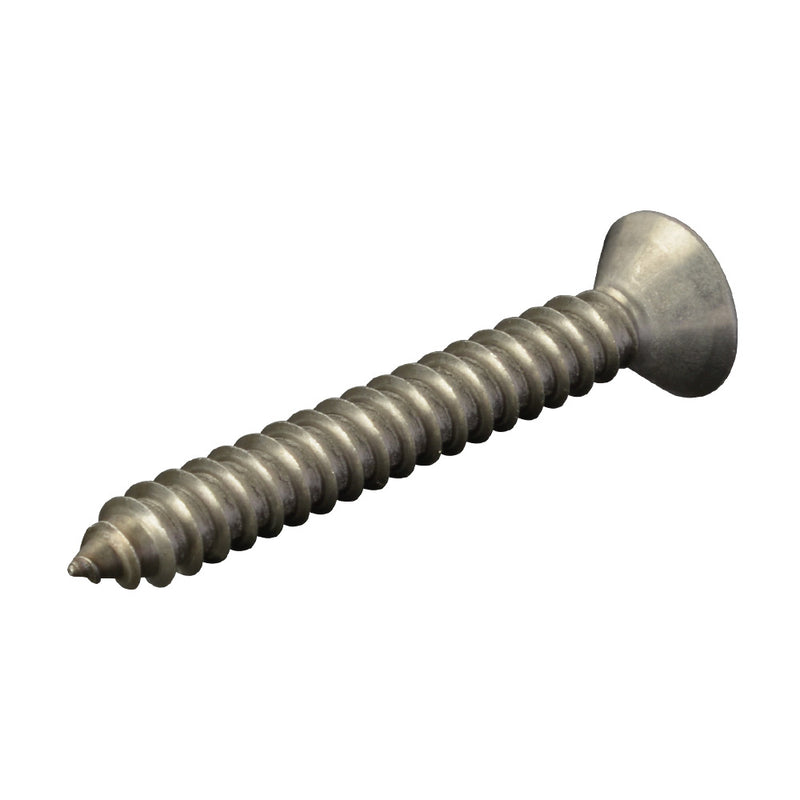 316 Stainless Steel Fixing Screw 4.8mm x 38mm