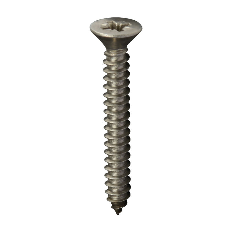316 Stainless Steel Fixing Screw 4.8mm x 38mm