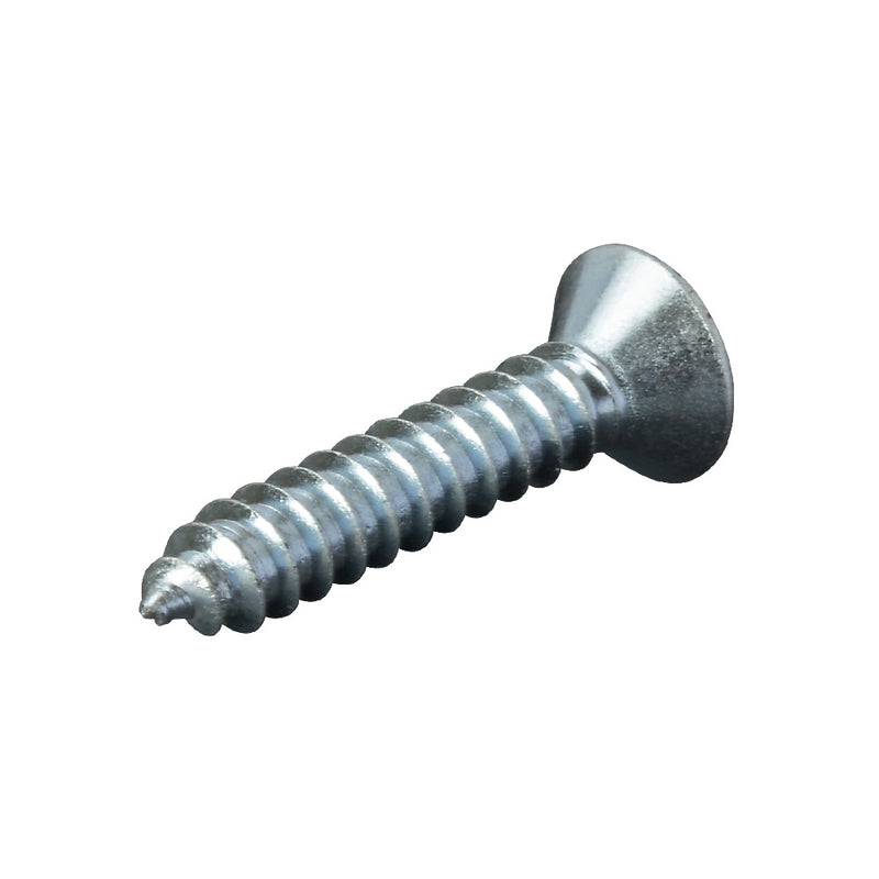 Zinc Plated Fixing Screw 25 x 4.8mm